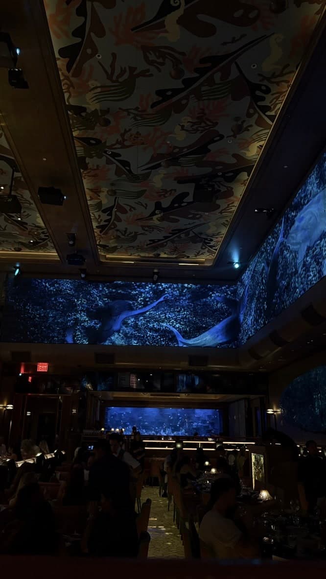A dark dining room with a large blue-lit aquarium and decorative ceiling.