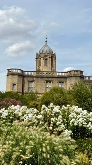 White flowers and green planting in front of ornate stone buildings in Oxford.